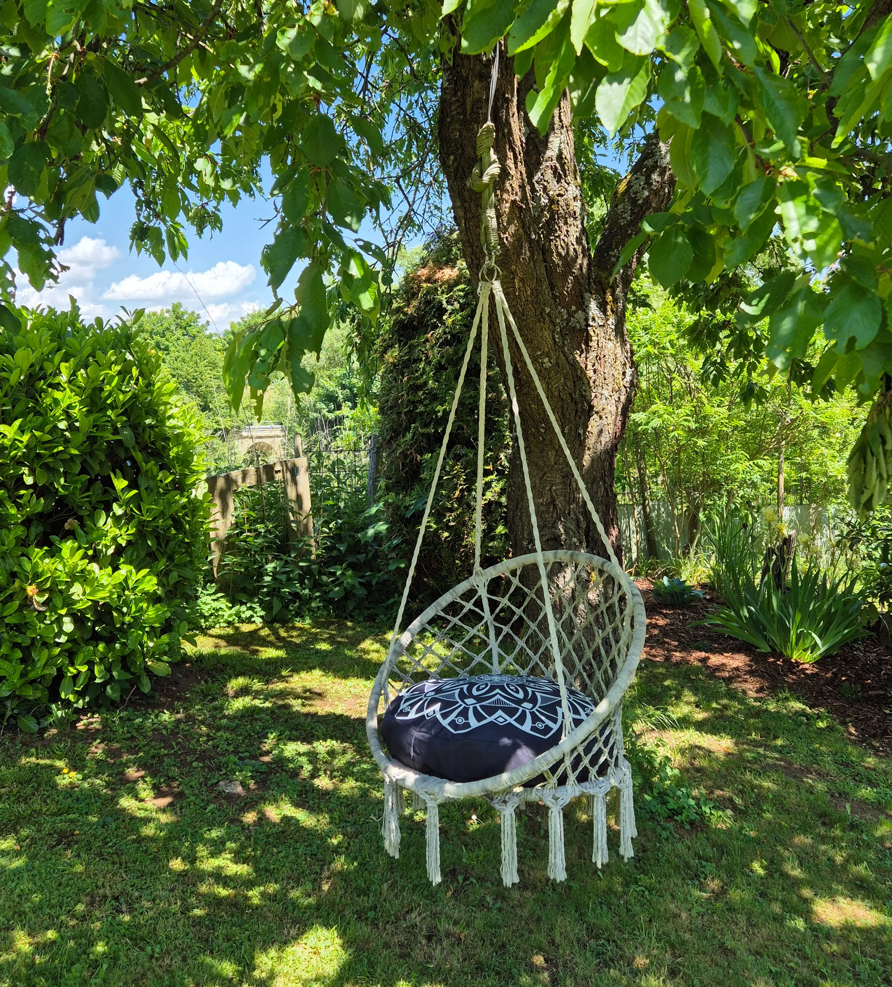 Schaukel im Erbisgarten